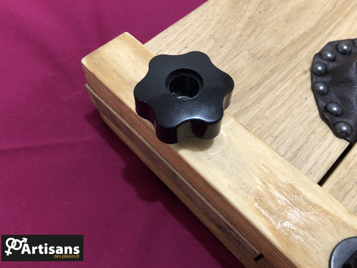 Carcan tête et poignets – Image 7